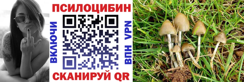 Галлюциногенные грибы ЛСД  где можно купить   Плавск 